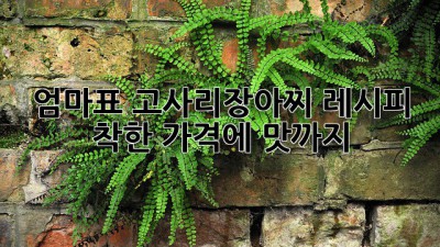 엄마표 고사리장아찌 레시피: 착한 가격에 맛까지 👍