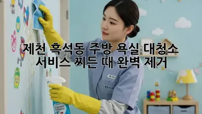 제천 흑석동 주방, 욕실 대청소 서비스: 찌든 때 완벽 제거!